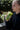 a woman wearing a black sweatshirt drinking a green smoothie