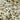 abstract white texture