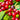 coffee fruit plant