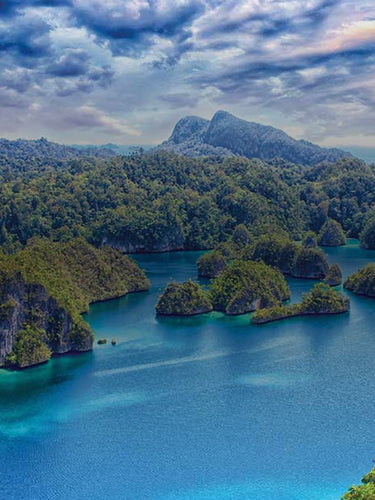 ocean and green covered mountains