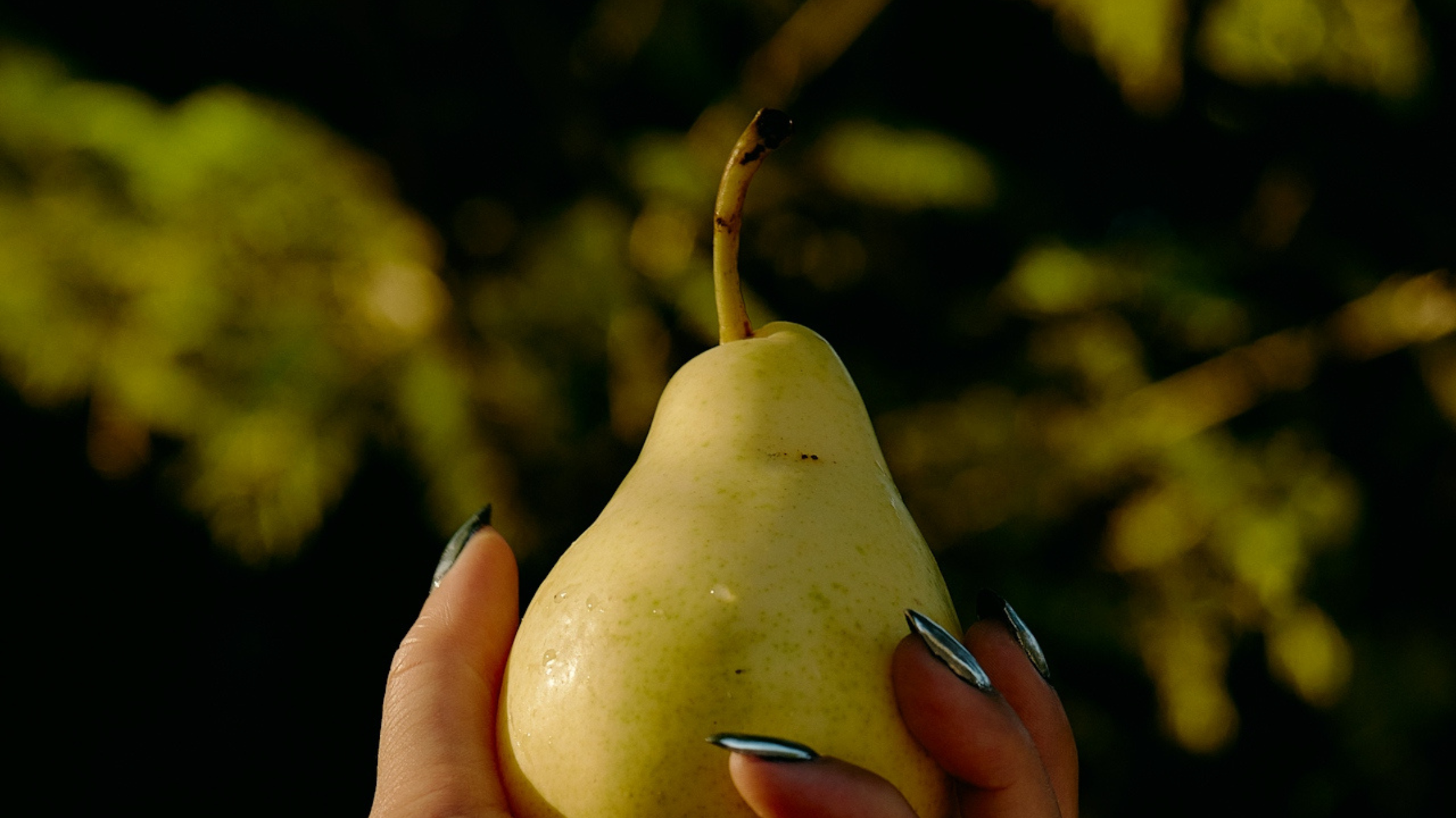 Fresh Fruit